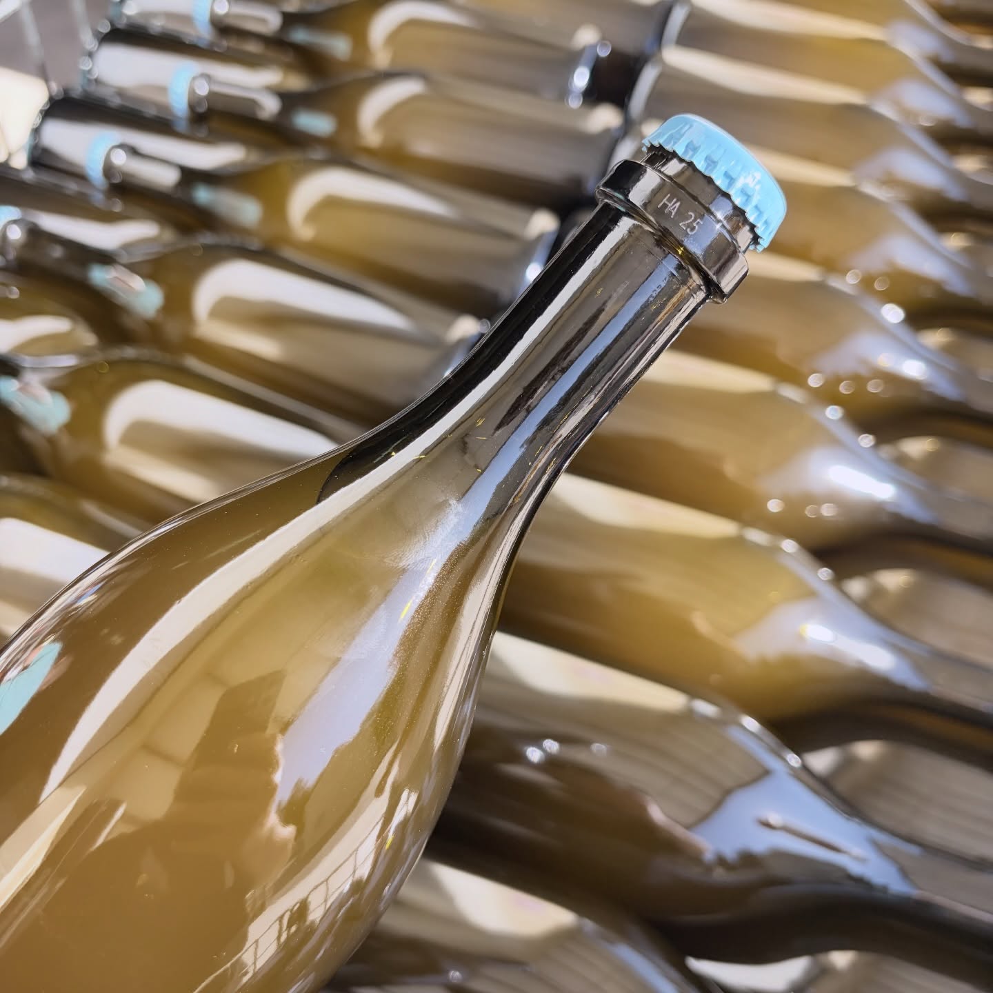 Mise en bouteille